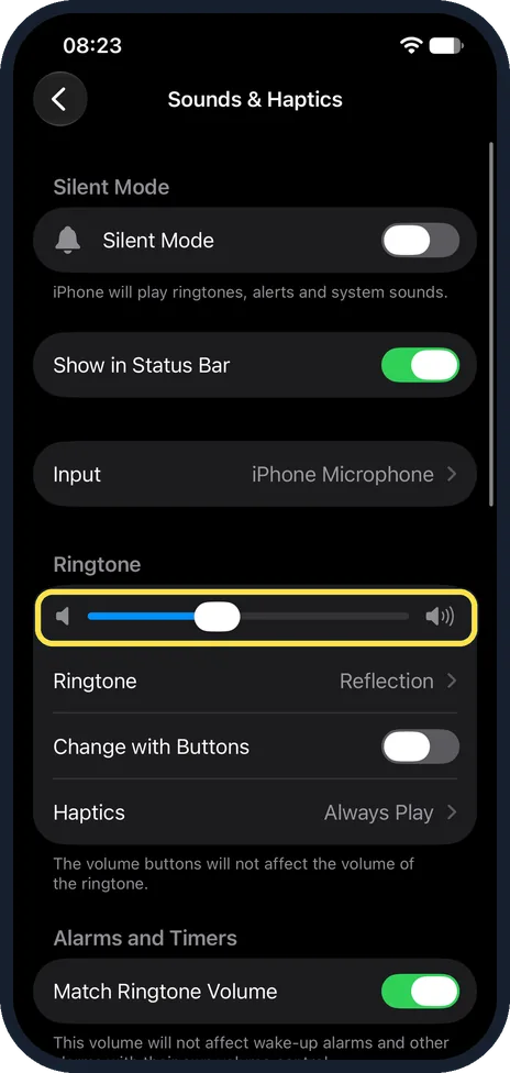 iPhone screen: Raise the ringer volume