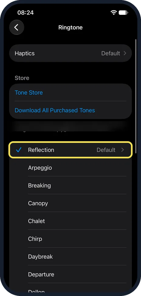 iPhone screen: Check the ringtone