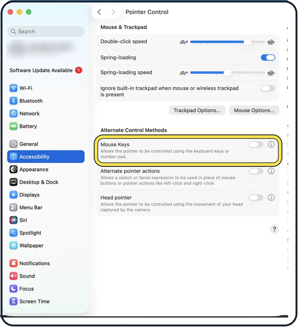 Mac screenshot: Switch off Mouse Keys