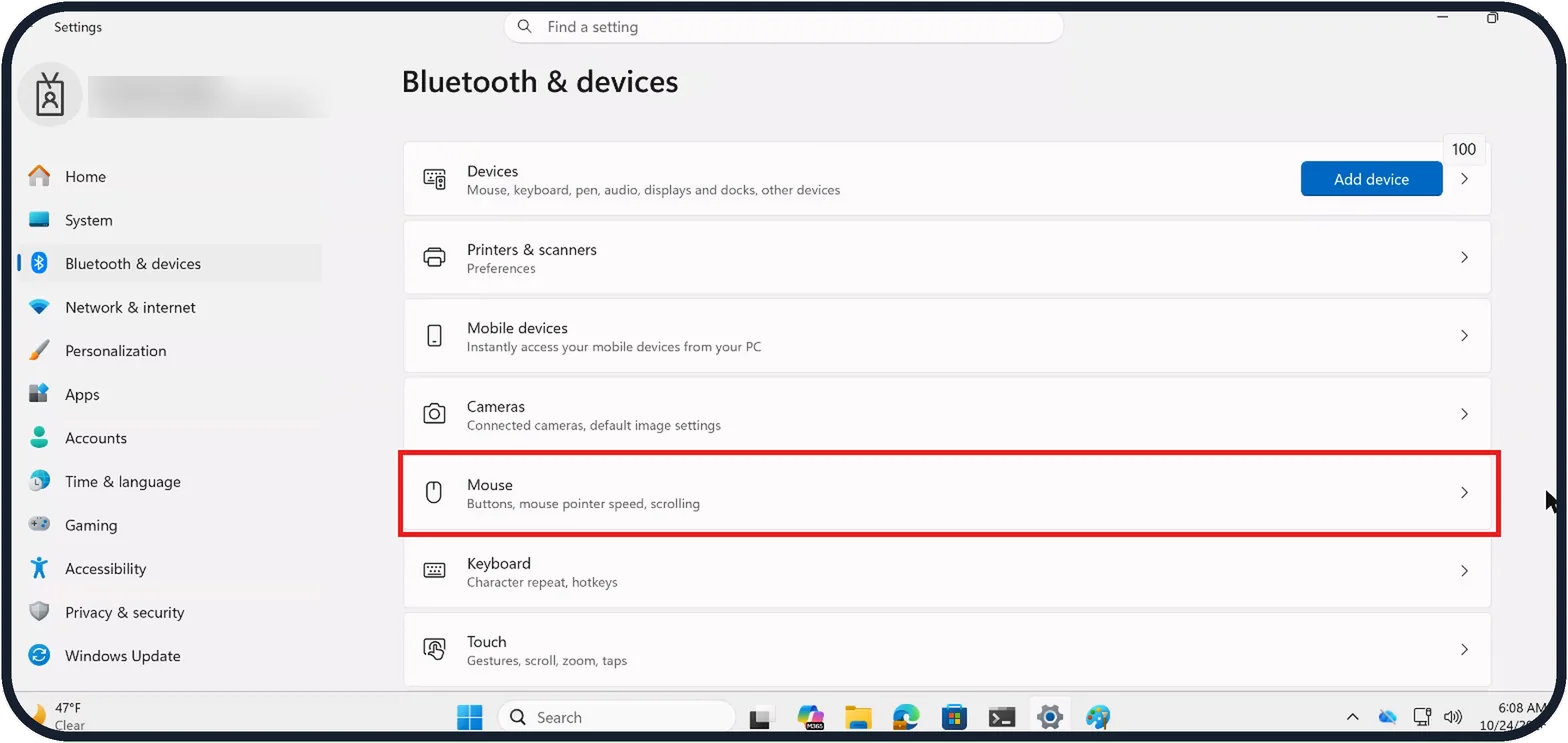 Windows screenshot: Open the Mouse settings