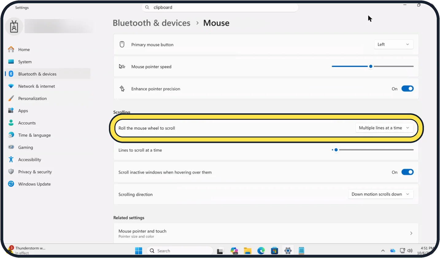 Windows screenshot: Scroll by lines or a whole screen