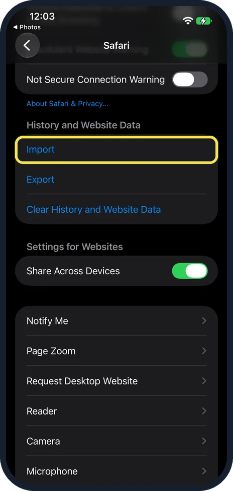 iPhone screen: Open Safari settings and tap Import