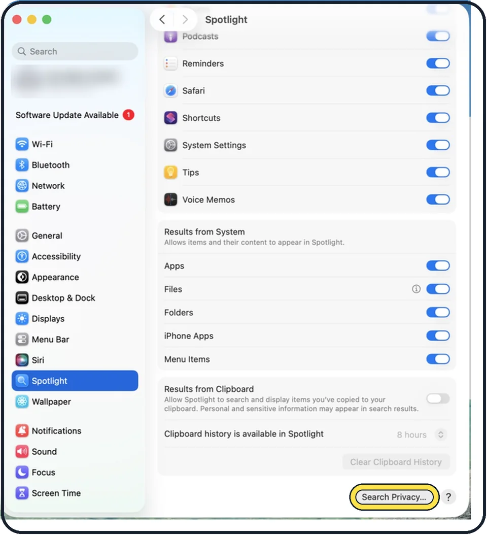 Mac screenshot: Click Search Privacy