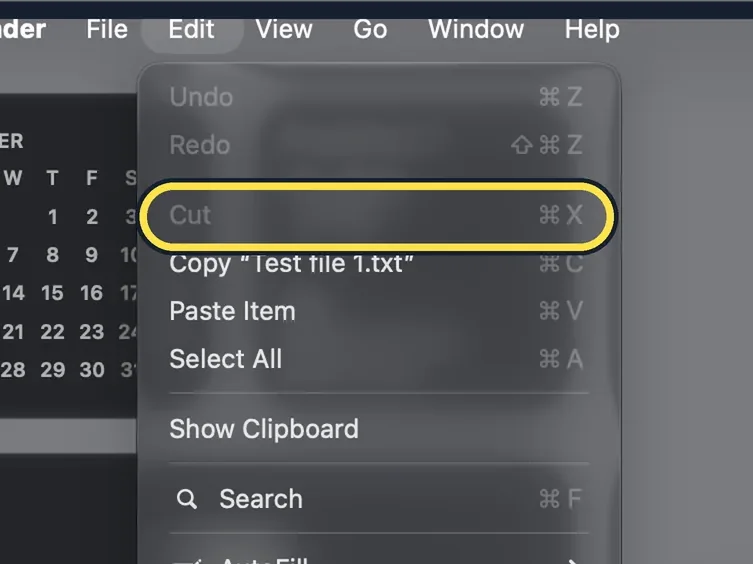 Mac screenshot: Cut greyed out