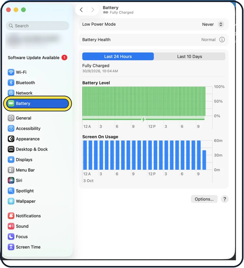 Screenshot from the guide: How to check battery health on a MacBook