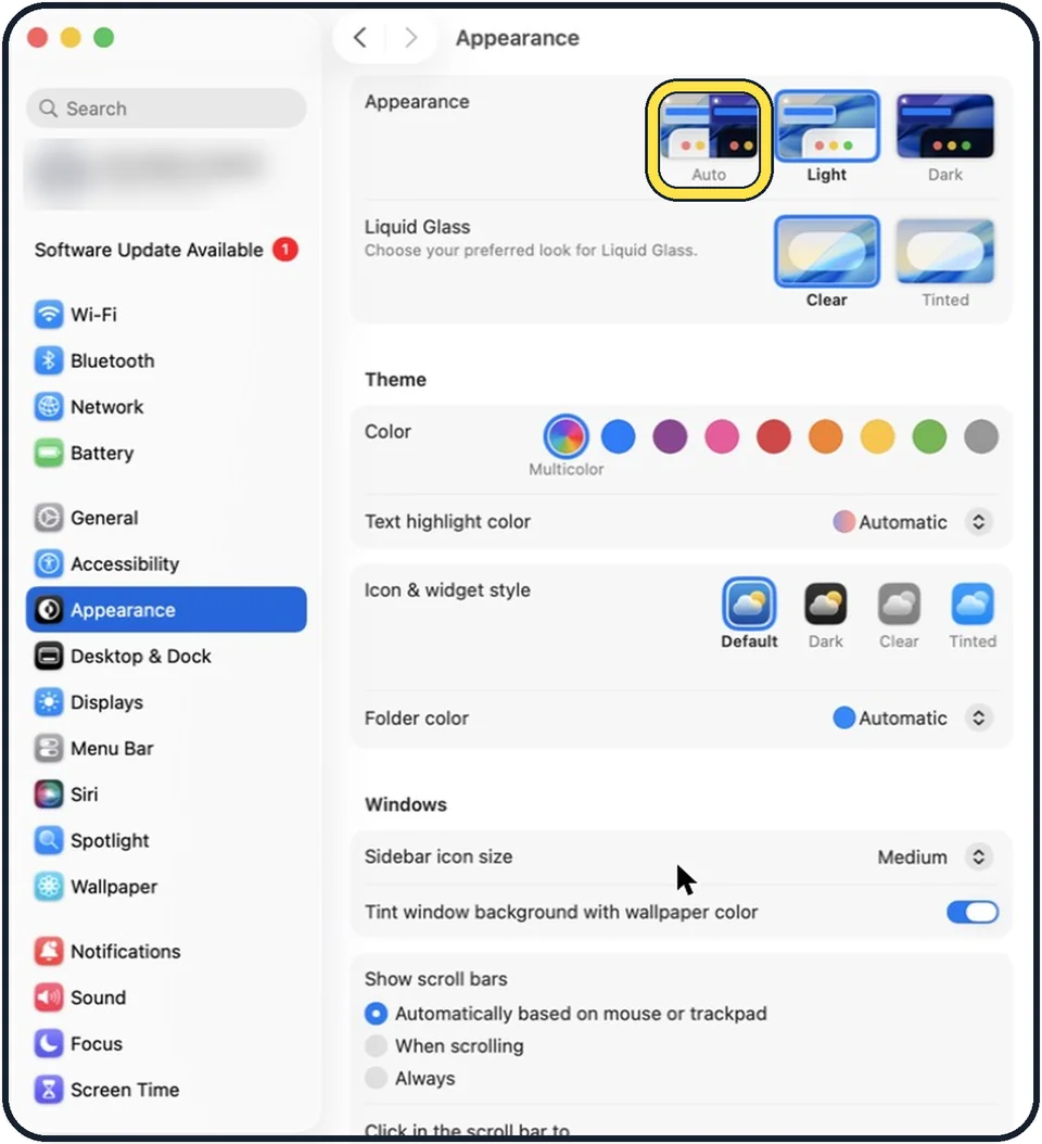 Mac screenshot: Or choose Auto