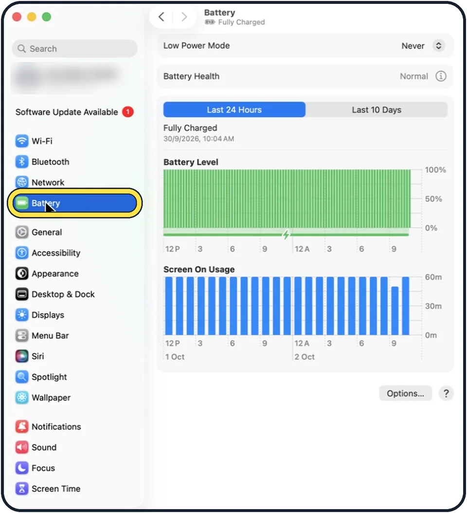 Screenshot from the guide: How to use Low Power Mode on a Mac