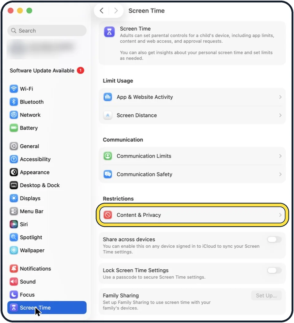 Mac screenshot: Check Screen Time