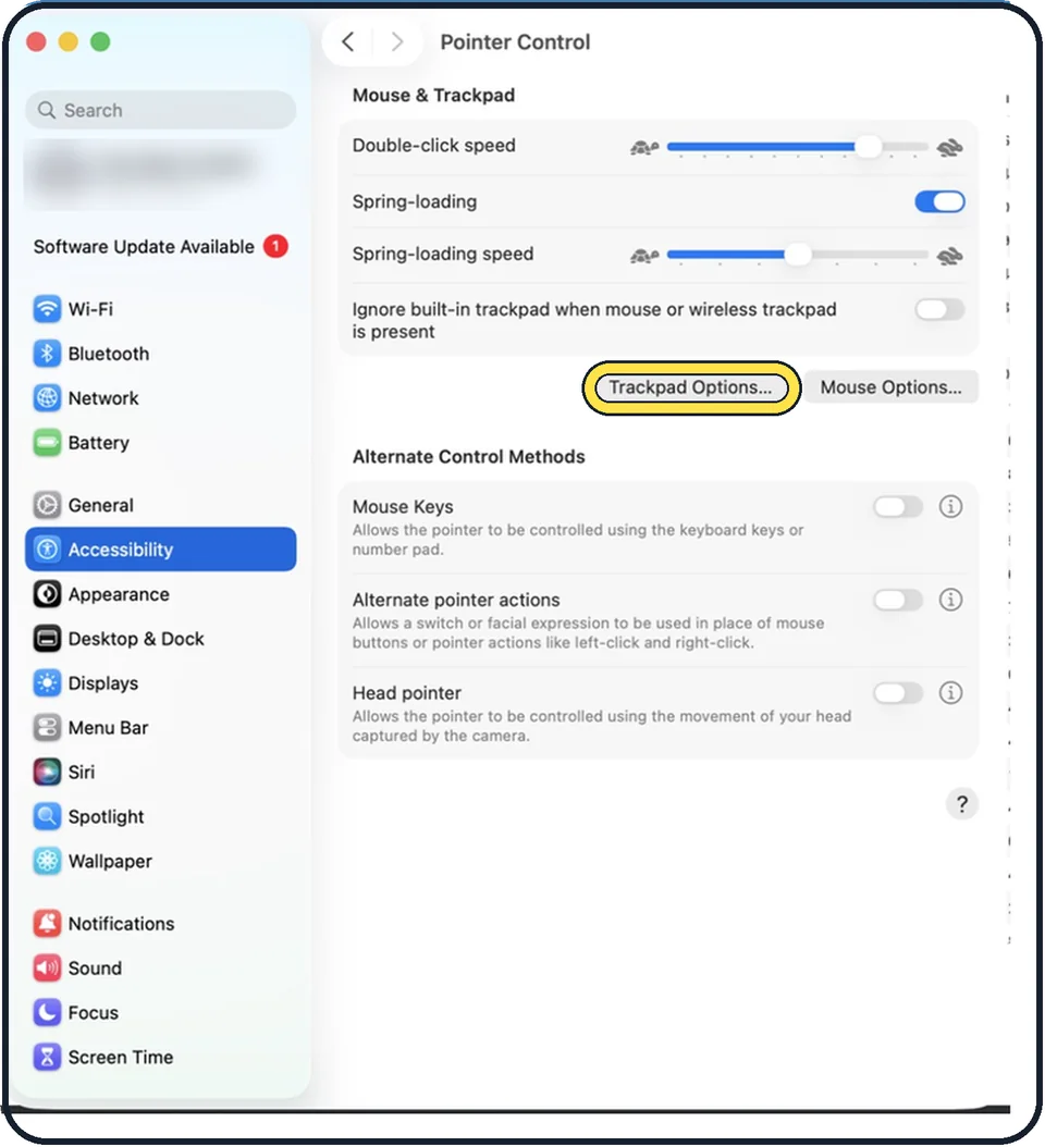 Mac screenshot: Turn on three-finger drag