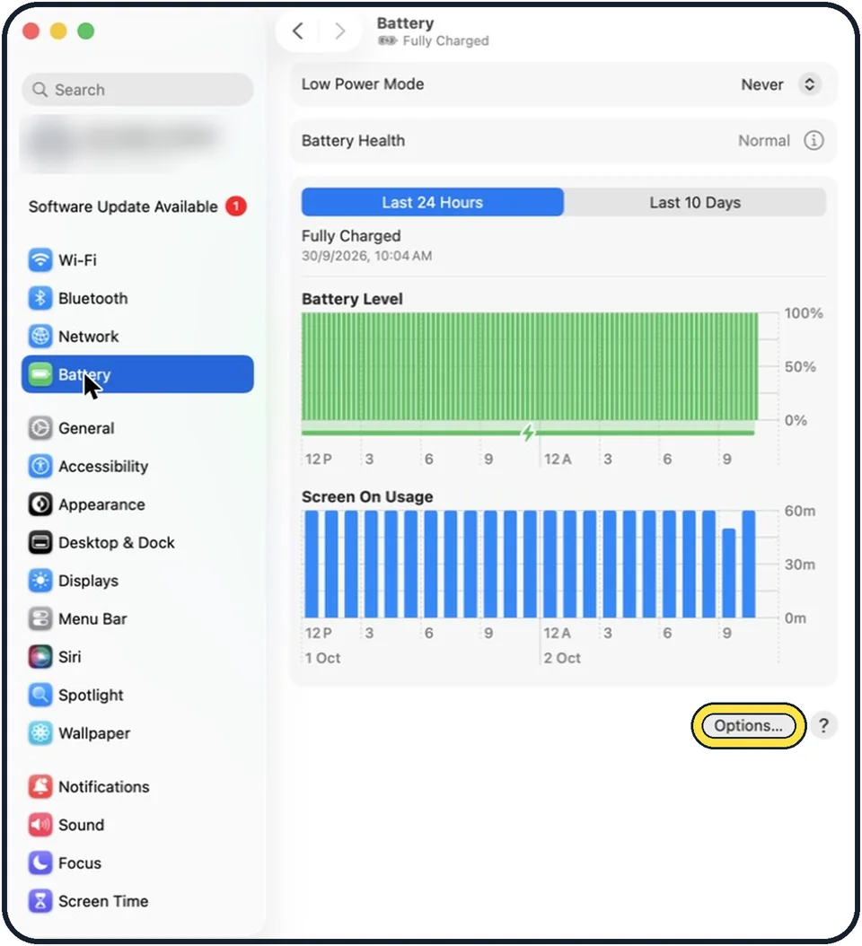Mac screenshot: MacBook: check the Battery options