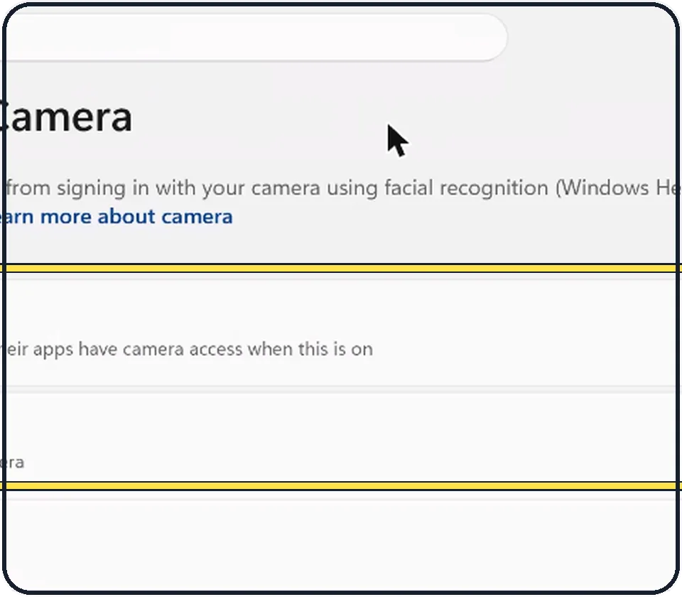 Windows screenshot: Check the privacy settings