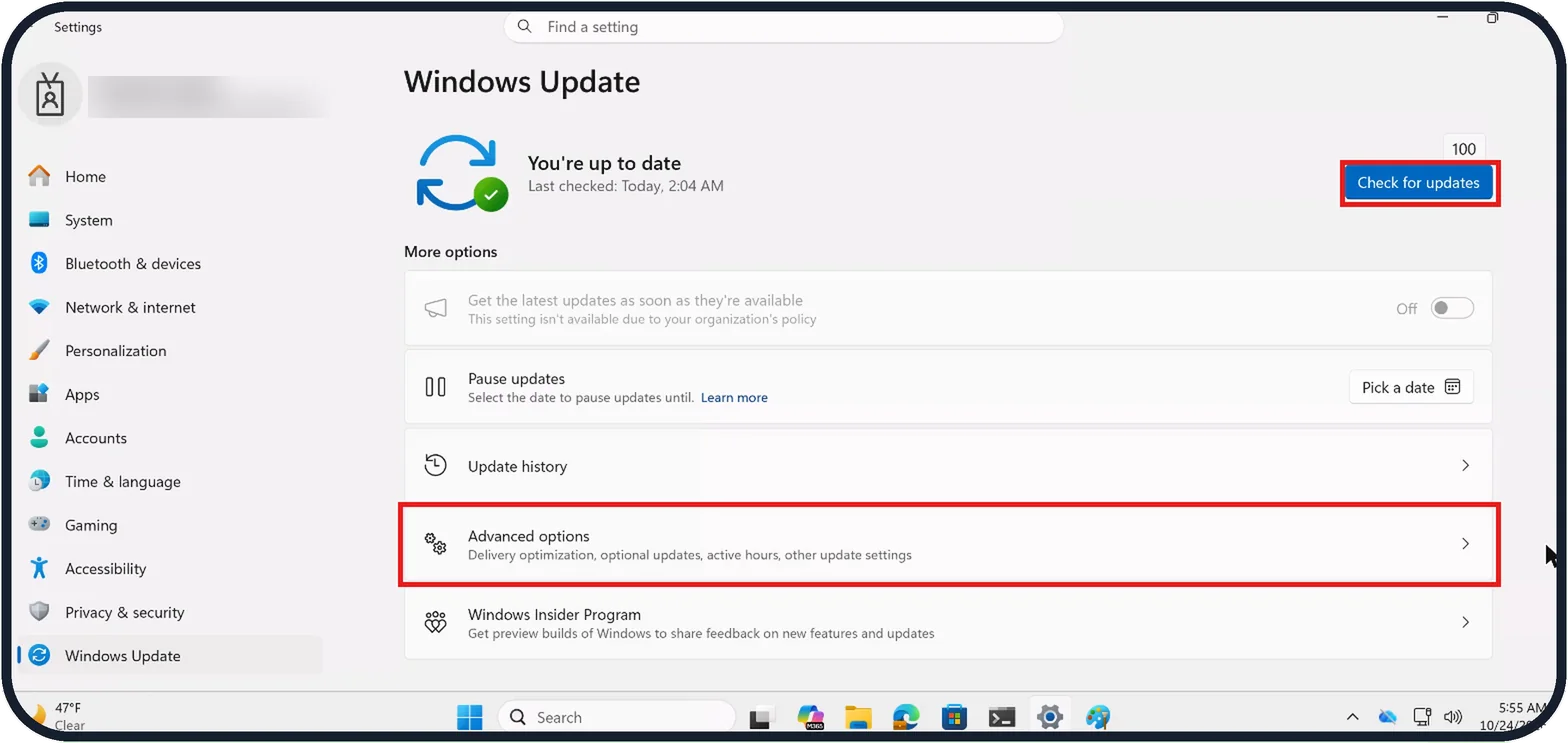 Windows screenshot: Check for updates