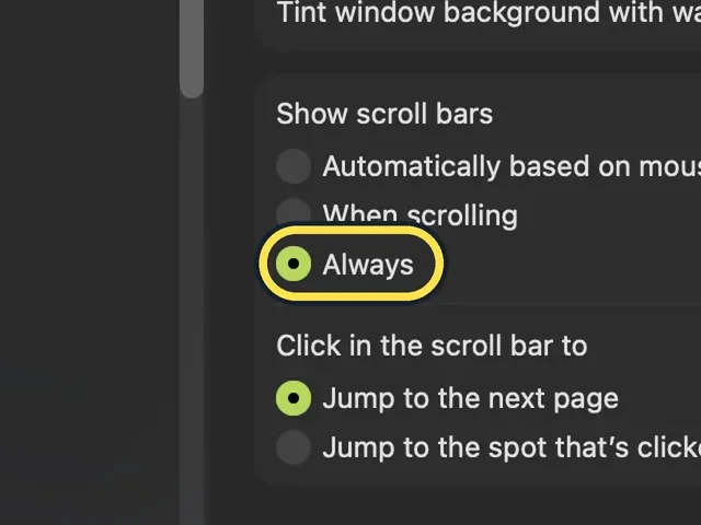 Screenshot from the guide: How to always show scroll bars on a Mac