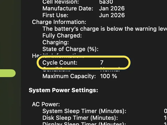 Screenshot from the guide: How to check battery health on a MacBook