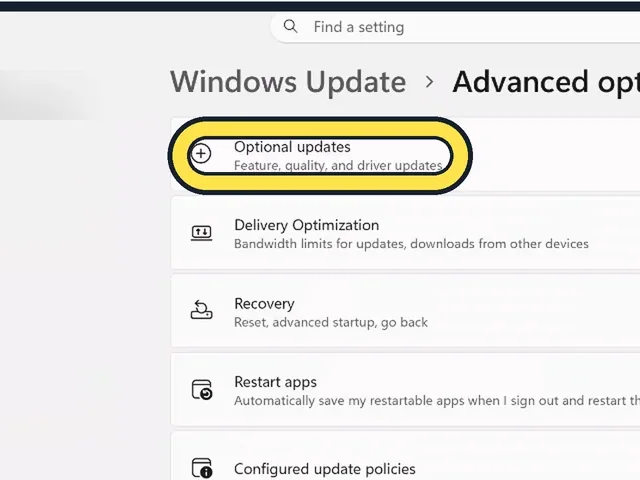 Screenshot from the guide: How to check for updates on Windows 11