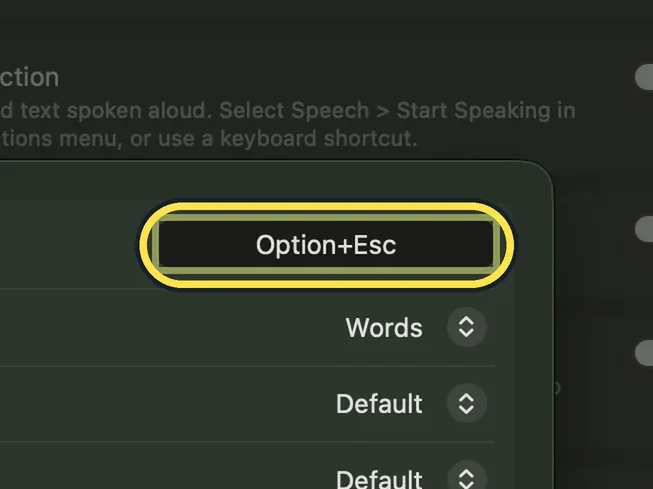 Screenshot from the guide: How to make a Mac read selected text aloud