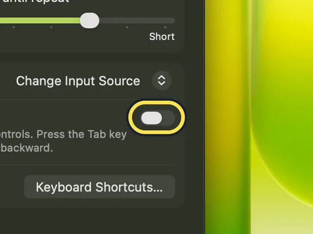 Screenshot from the guide: How to move between buttons with the Tab key on a Mac