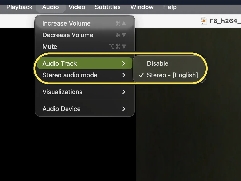 Screenshot from the guide: How to play MKV files on a Mac