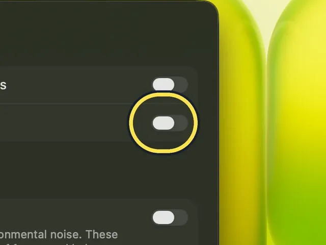 Screenshot from the guide: How to play stereo sound as mono on a Mac