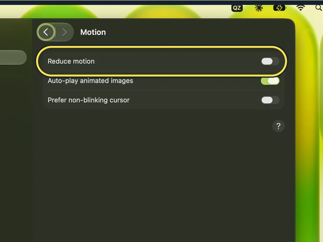 Screenshot from the guide: How to reduce motion and animations on a Mac
