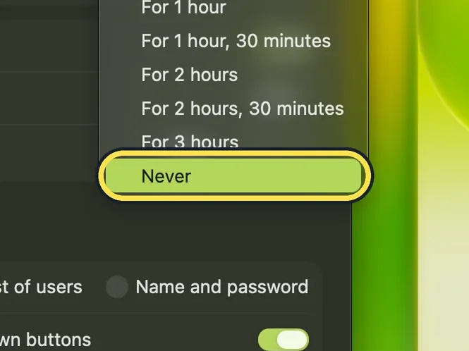 Screenshot from the guide: How to stop a Mac from going to sleep