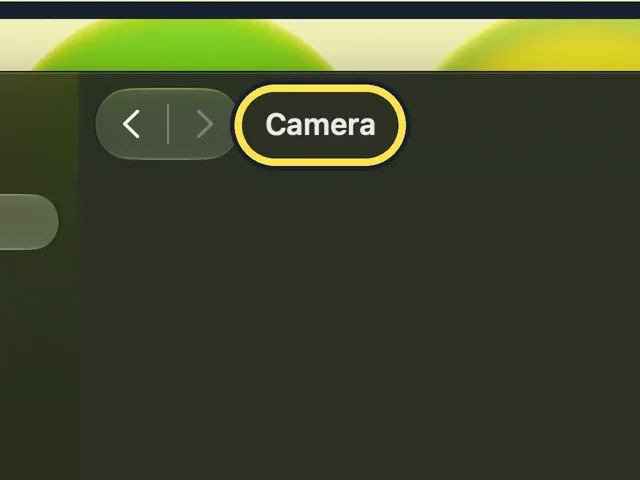 Screenshot from the guide: Mac camera not working? 6 fixes to try